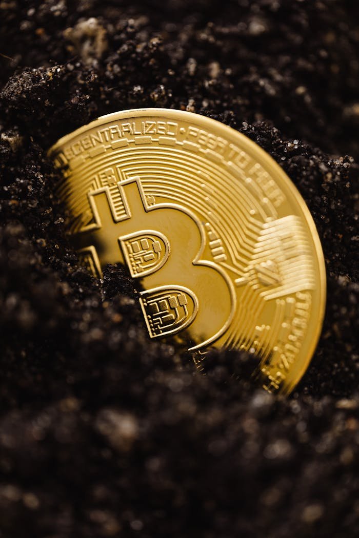 Home Close-up of a gold Bitcoin coin emerging from dark soil, representing digital currency growth.